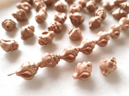 Murex shell beads 15x12mm - beige & copper