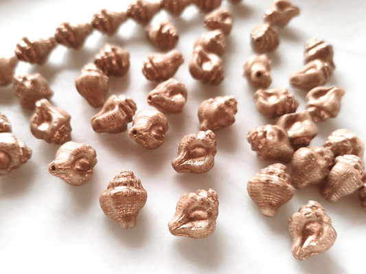 Murex shell beads 15x12mm - beige & copper
